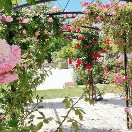 Gite En Provence Lavande Modene エクステリア 写真