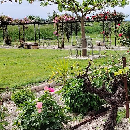 Gite En Provence Lavande Modene エクステリア 写真