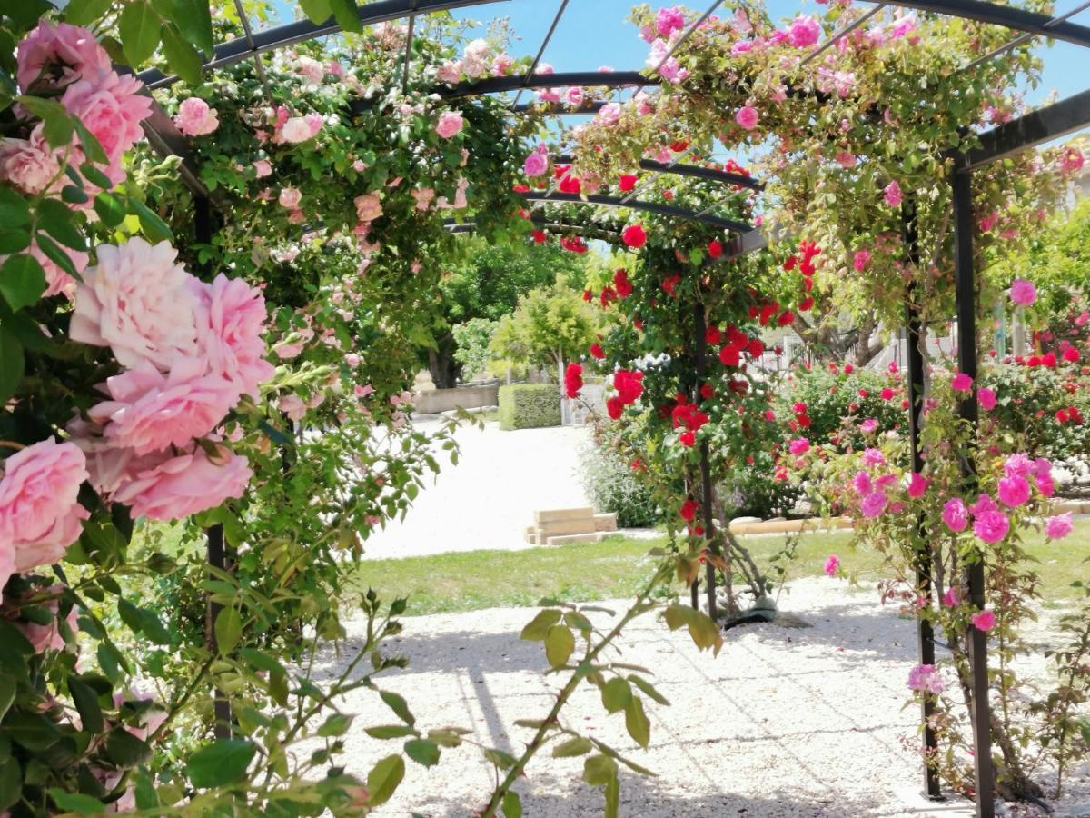 Gite En Provence Lavande Modene エクステリア 写真