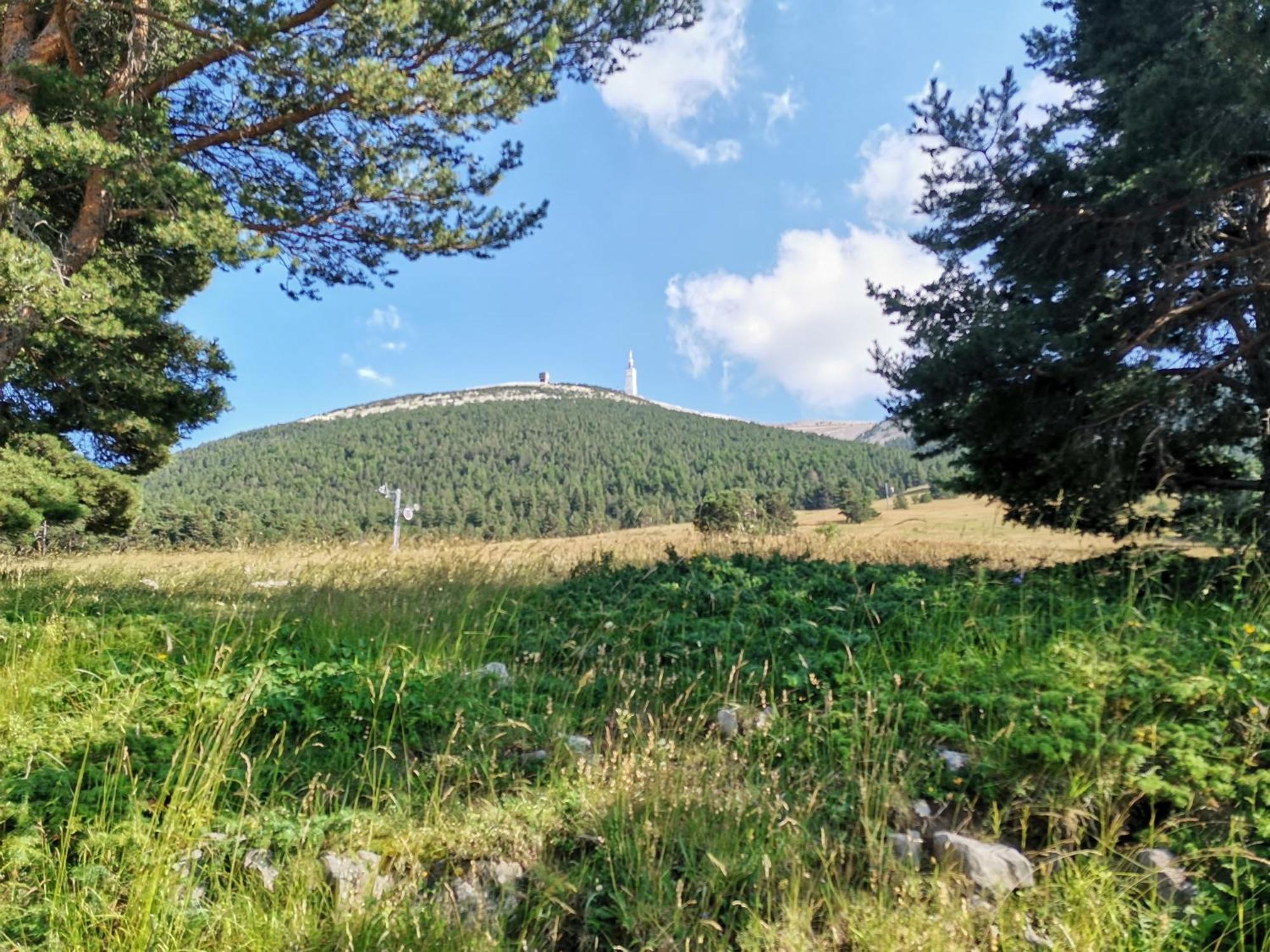 Gite En Provence Lavande Modene エクステリア 写真