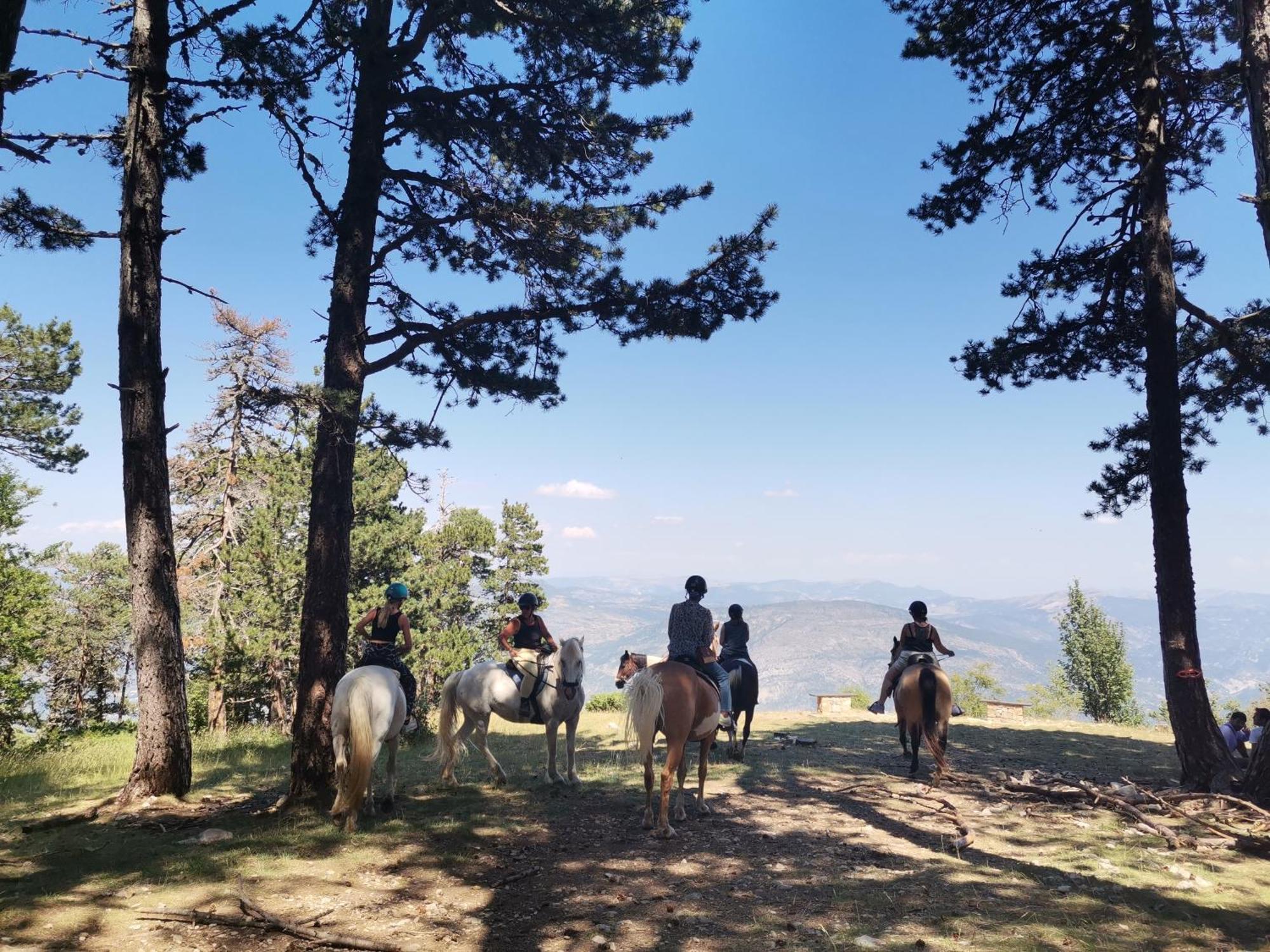 Gite En Provence Lavande Modene エクステリア 写真