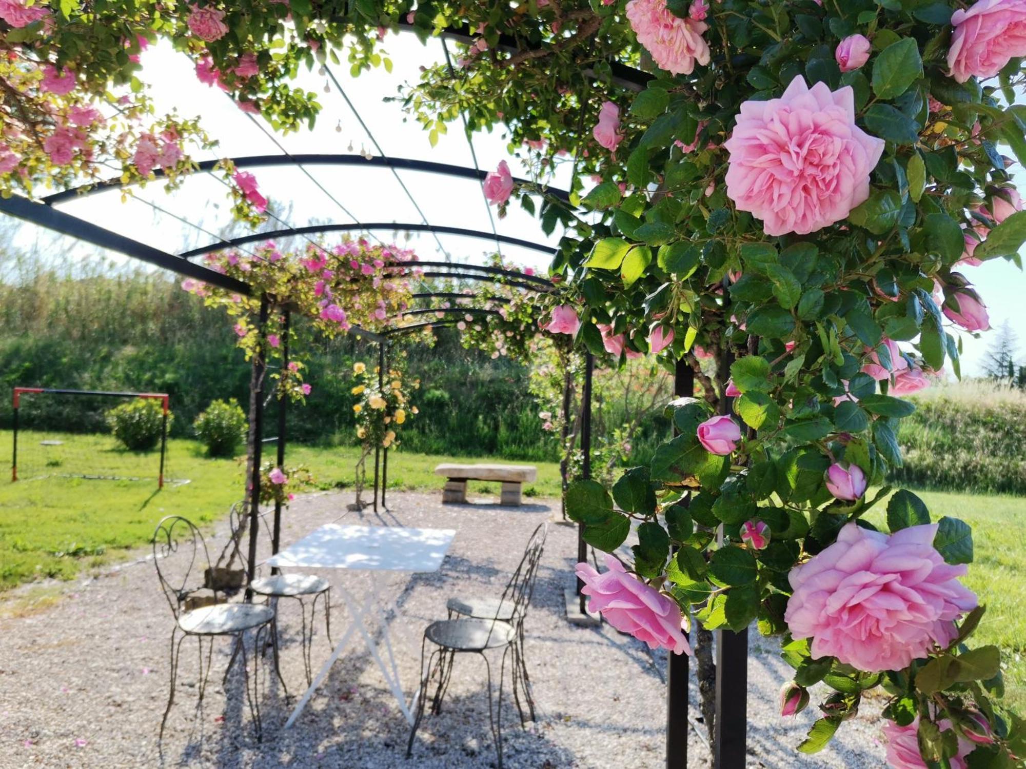 Gite En Provence Lavande Modene エクステリア 写真