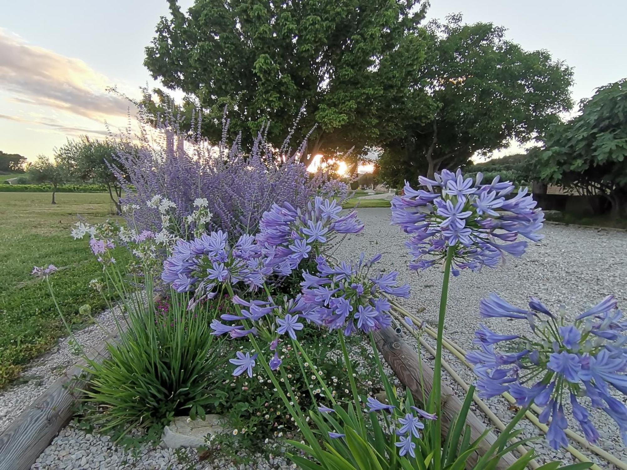 Gite En Provence Lavande Modene エクステリア 写真