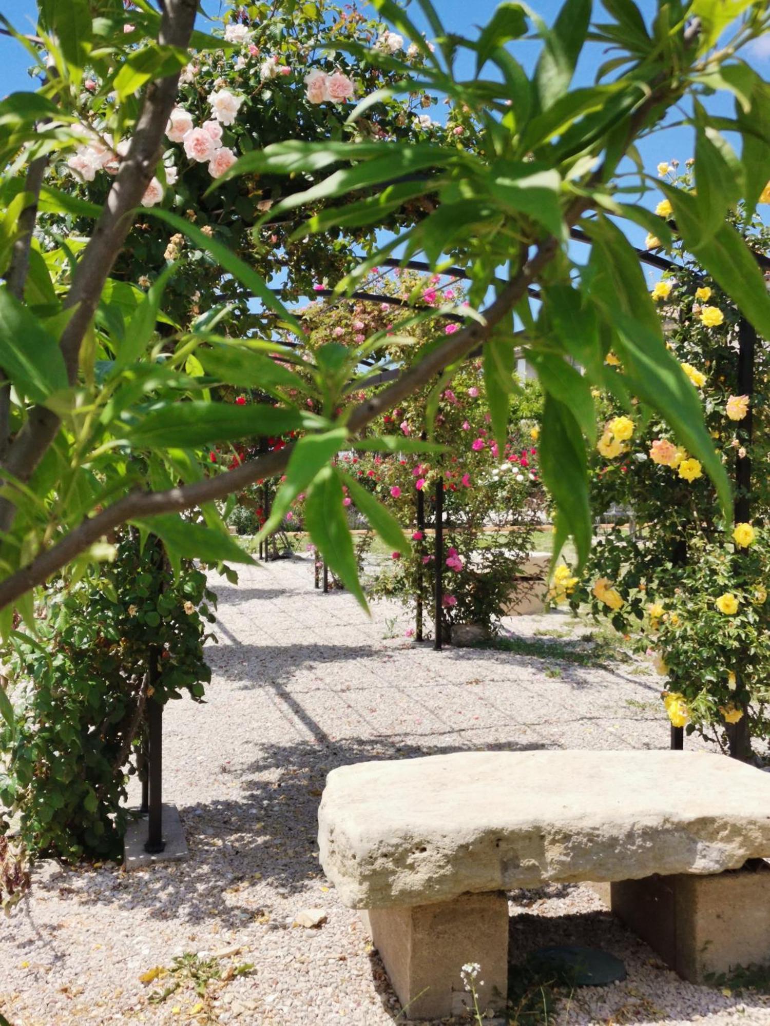 Gite En Provence Lavande Modene エクステリア 写真