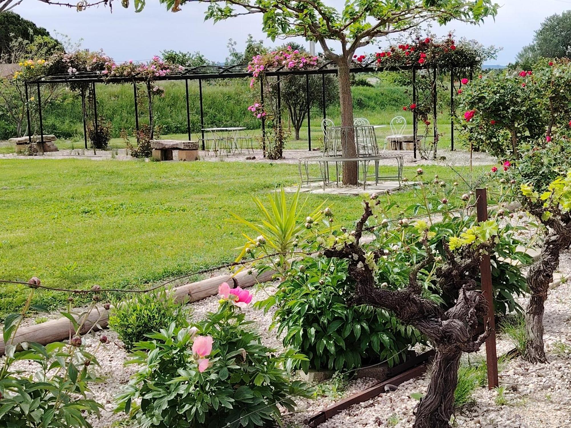Gite En Provence Lavande Modene エクステリア 写真